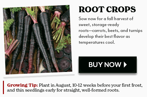 ROOT VEGGIES