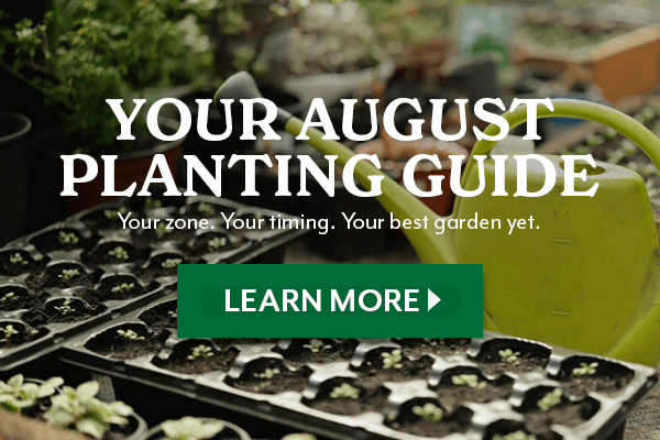 YOUR AUGUST PLANTING GUIDE