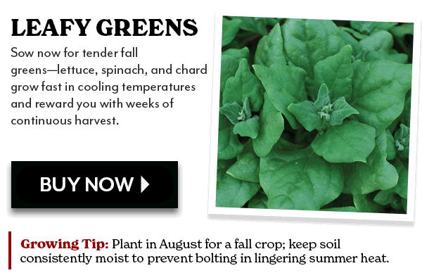 LEAFY GREENS
