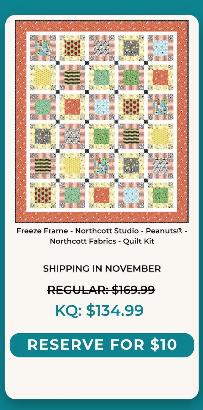 Freeze Frame Quilt Kit
