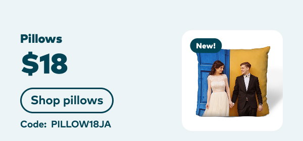 $18 pillows. Code: PILLOW18JA. Shop pillows.