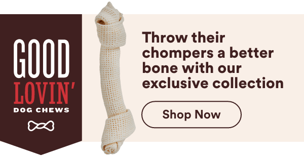Throw your chompers a better bone with our exclusive collection Shop Now!