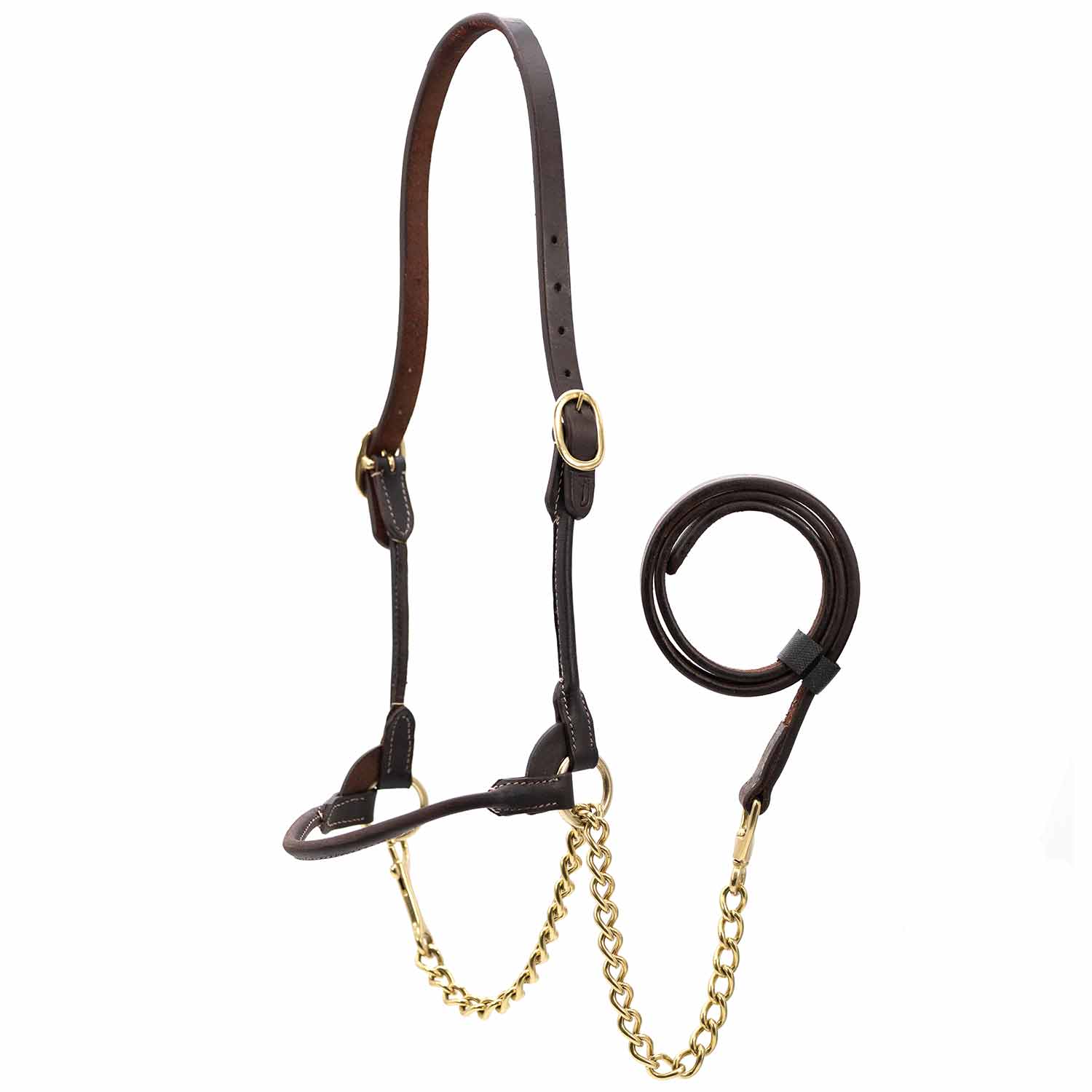 Jeffers Harness Leather Show Halter for Cattle – Includes Lead & Brass Chain