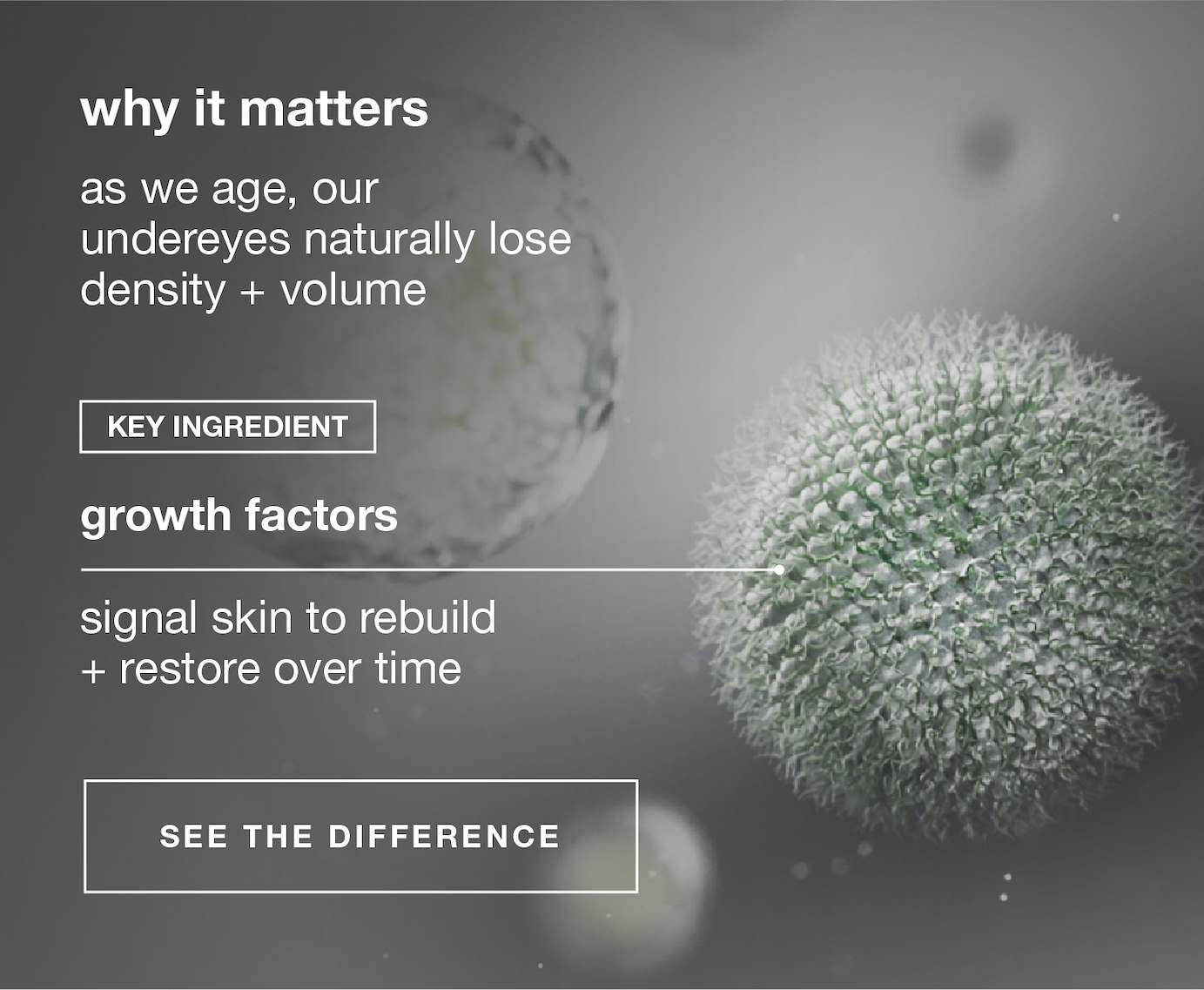 why it matters​  as we age, our undereyes naturally lose density + volume​  ​   growth factors signal skin to rebuild + restore over time   SEE THE DIFFERENCE​