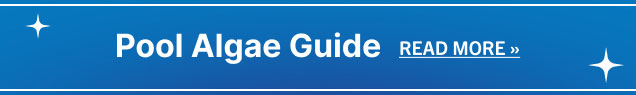 Pool Algae Guide (Read More)
