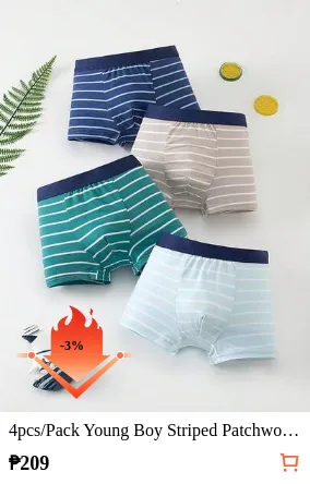 4pcs/Pack Young Boy Striped Patchwork Casual Everyday Briefs