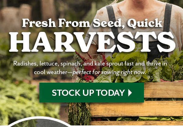 Fresh From Seed, Quick HARVESTS - STOCK UP TODAY