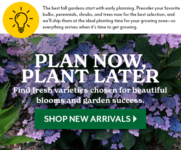 PLAN NOW, PLANT LATER - NEW ARRIVALS