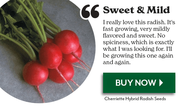 SWEET & MILD - Cherriette Hybrid Radish Seeds