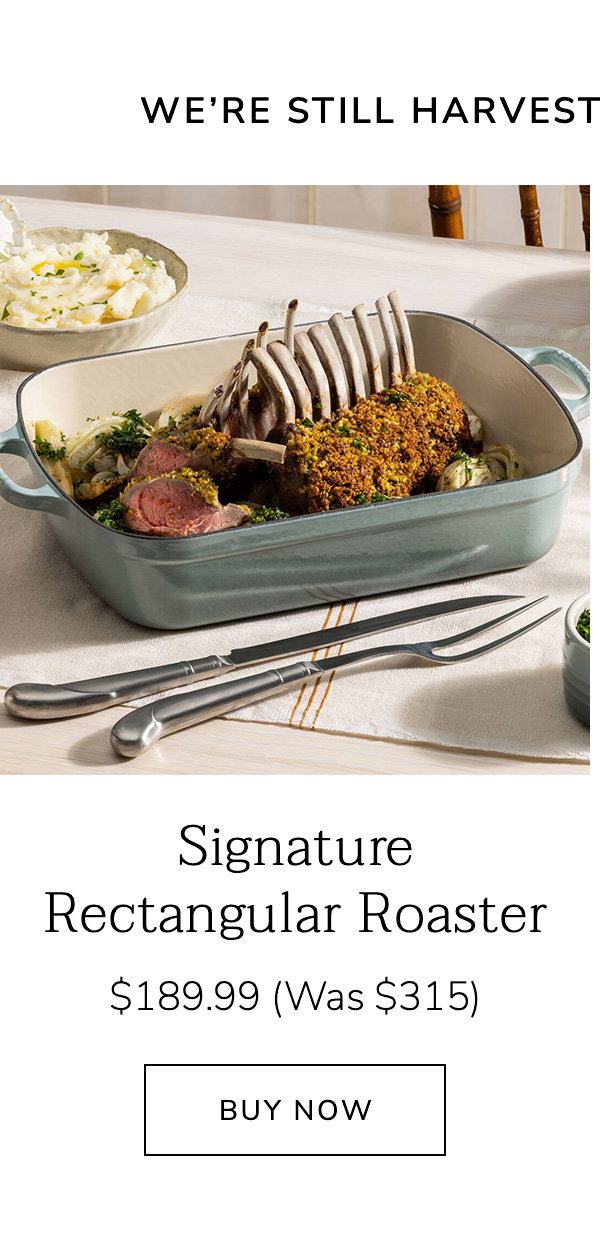 We’re Still Harvesting Summer Savings: Signature Rectangular Roaster $189.99 (Was $315) - BUY NOW