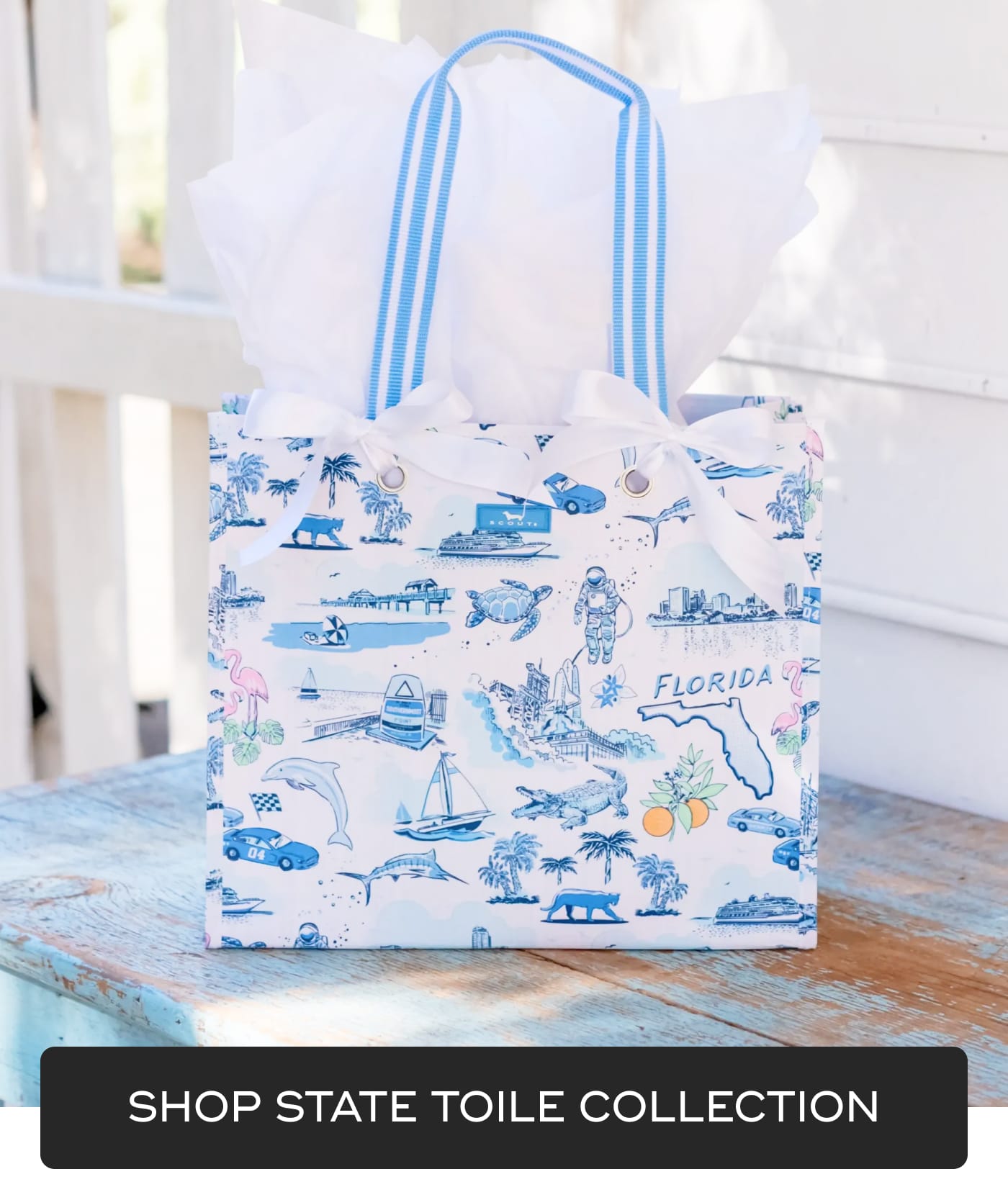 SCOUT. FLORIDA. SHOP STATE TOILE COLLECTION