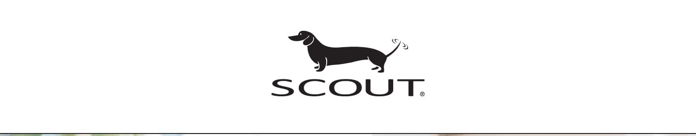 SCOUT