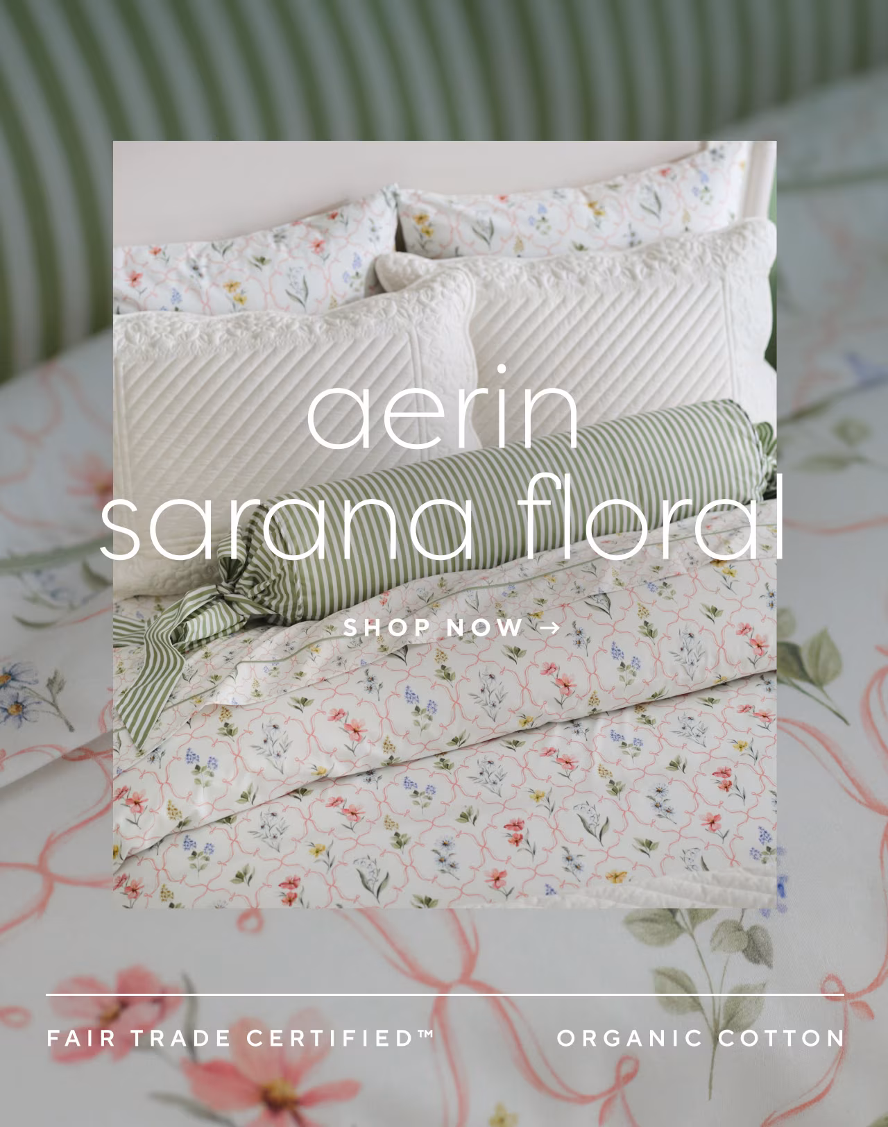 Aerin sarana floral