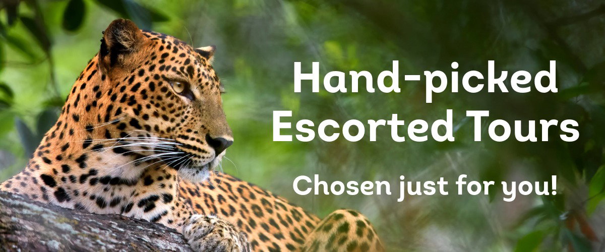Hand-picked Escorted Tours