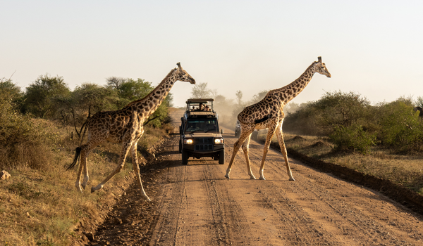 AFRICA