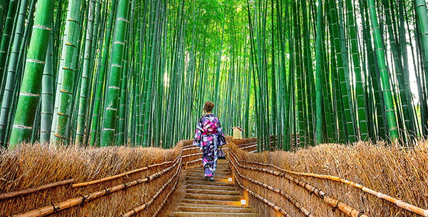 Japanerin im Kimono läuft auf einer Treppe durch einen Bambuswald.