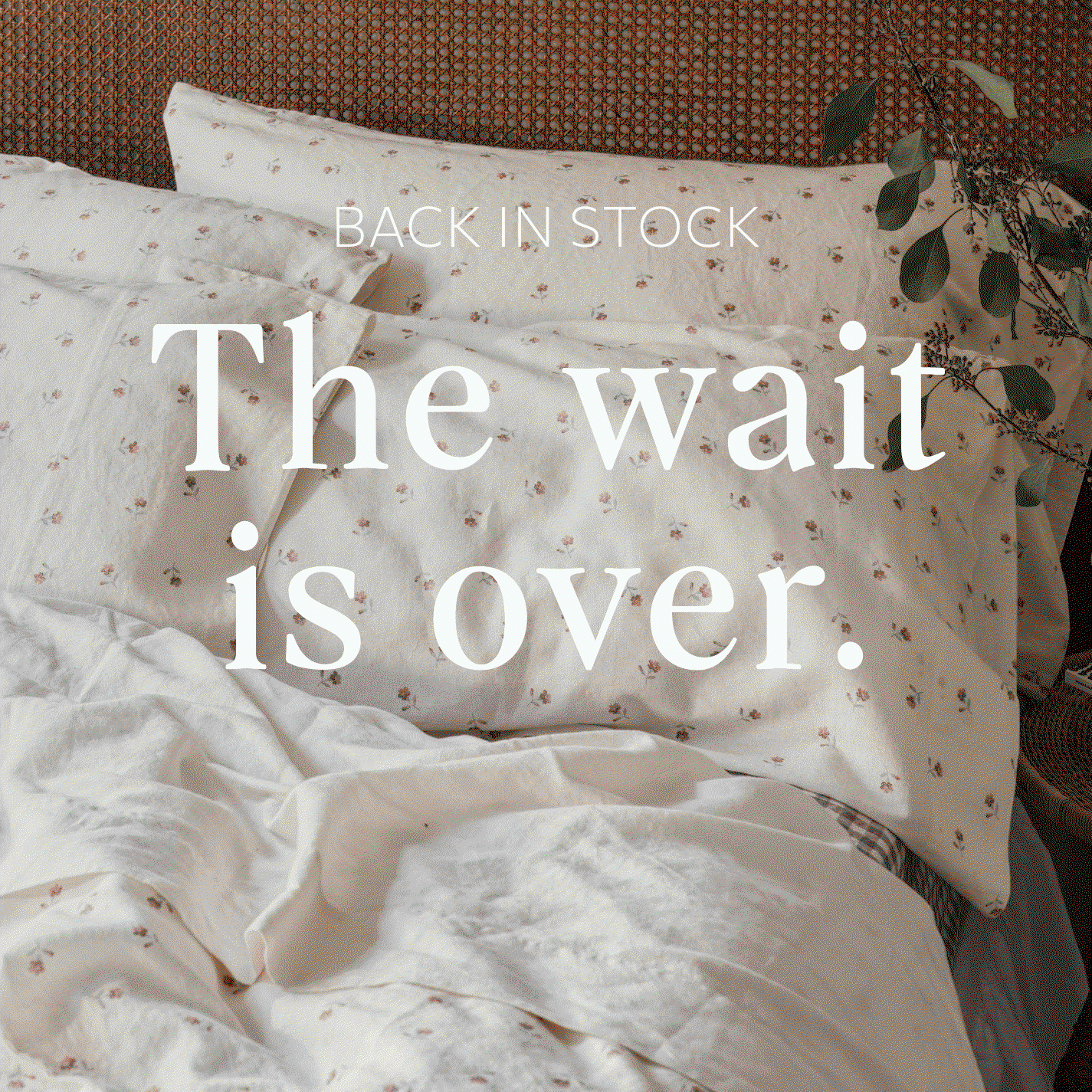 Back in stock: The wait is over
