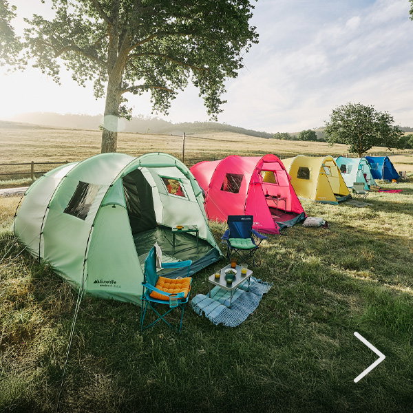 Row of colorful dome camping tents set up on grassy countryside beneath a large tree, with folding chairs and a small camp table arranged outside one tent in warm sunlight.