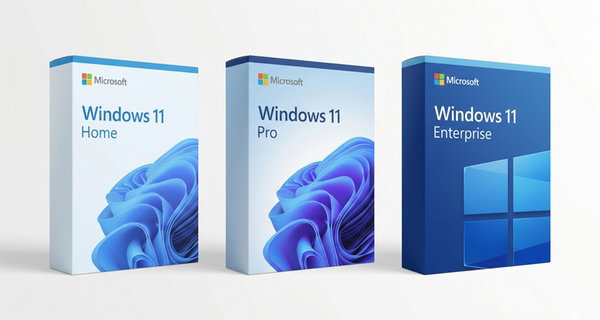 Windows 11 Home, Pro, Enterprise Lifetime Activation Key Download