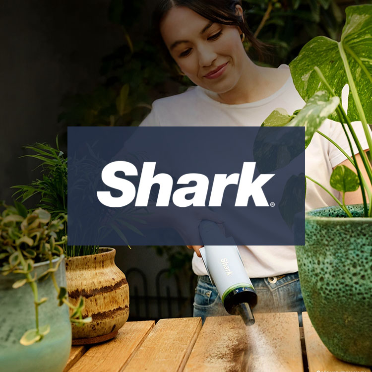 Shark