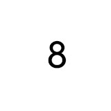 Size 8 & 8.5