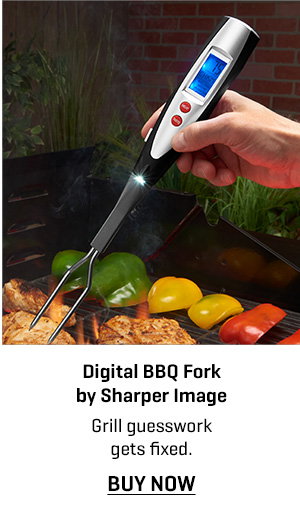 Digital BBQ Fork by Sharper Image
