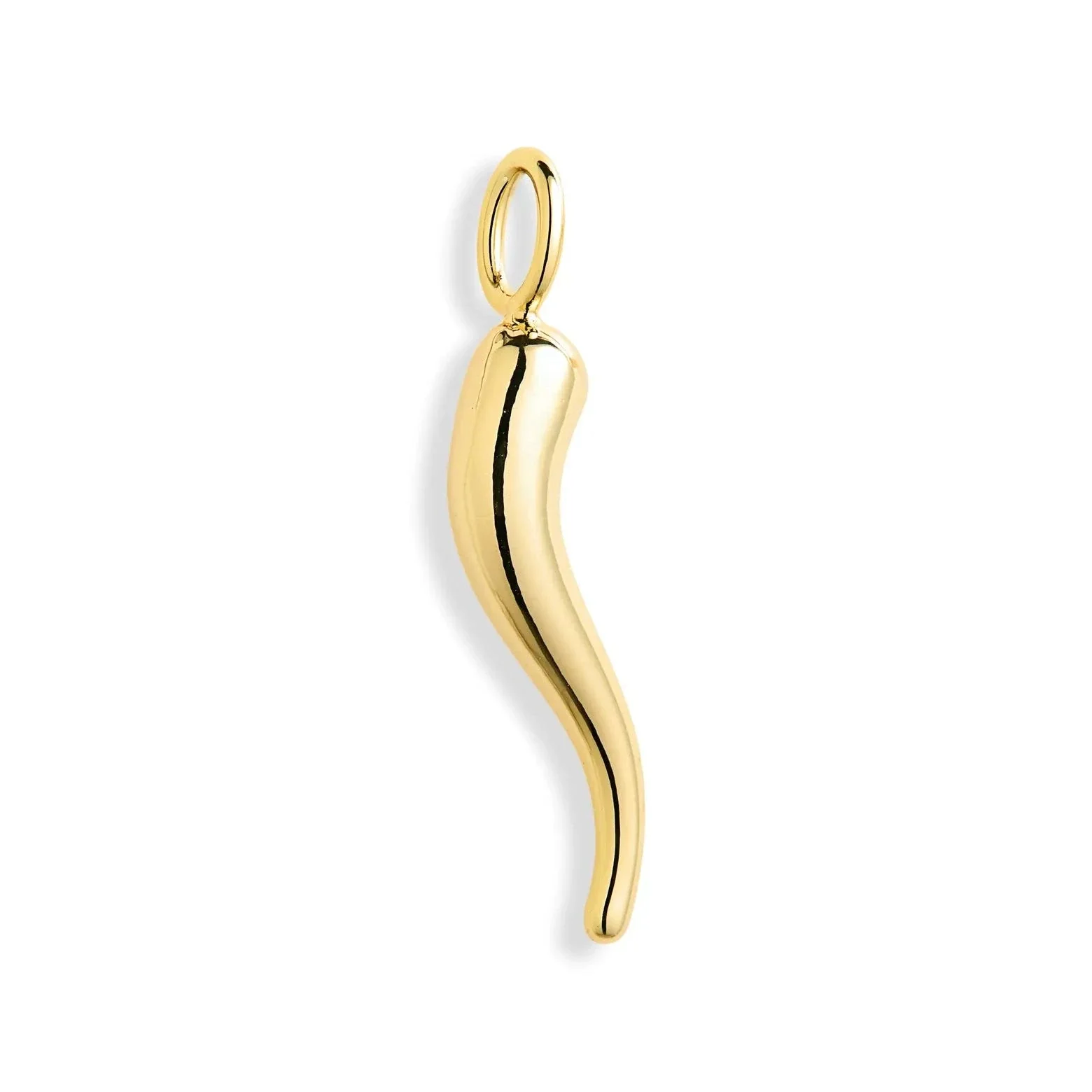 Image of Italian Horn Charm
