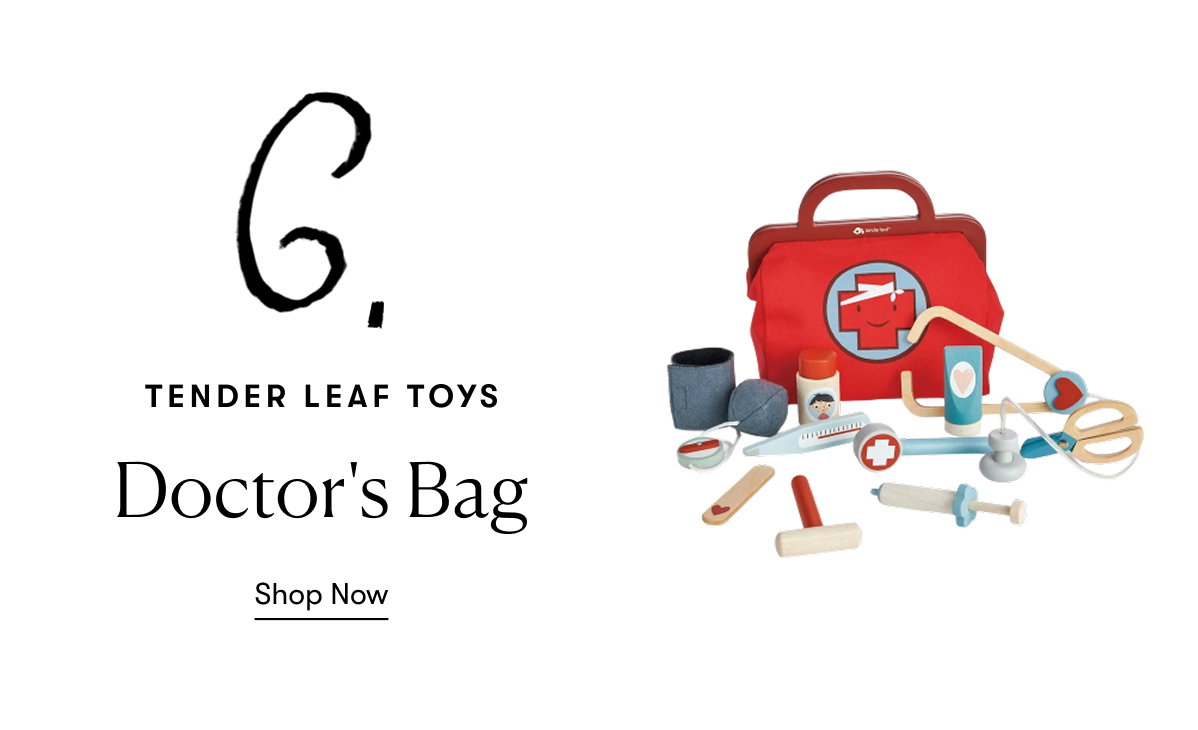Tender Leaf Toys - Doctor's Bag