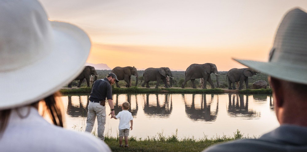 Family enjoying a safari as elephants walk past a waterhole at sunset