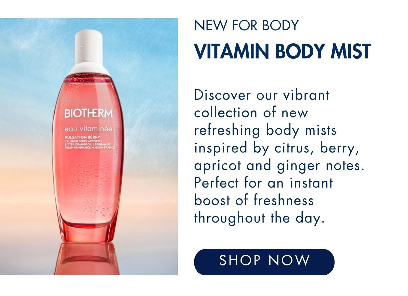 Discover Our New Arrivals