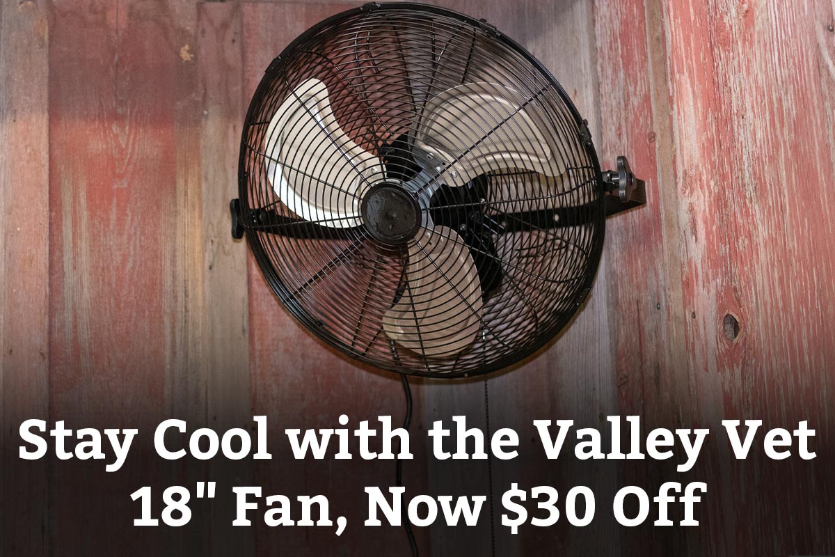 Stay Cool with the Valley Vet 18 Inch Fan, Now $30 Off