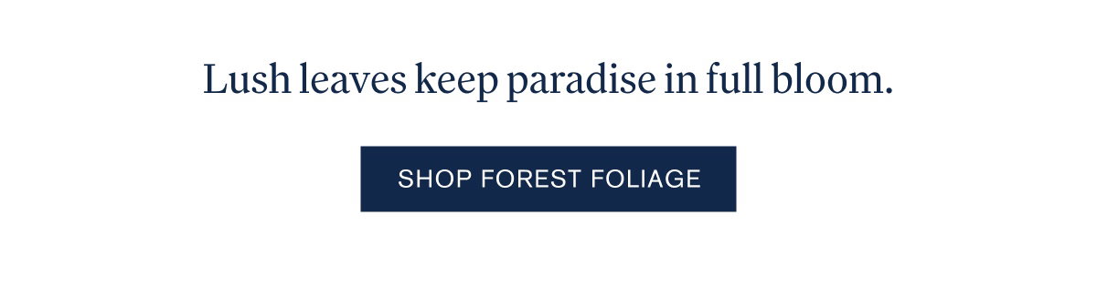 Shop Forest Foliage Collection