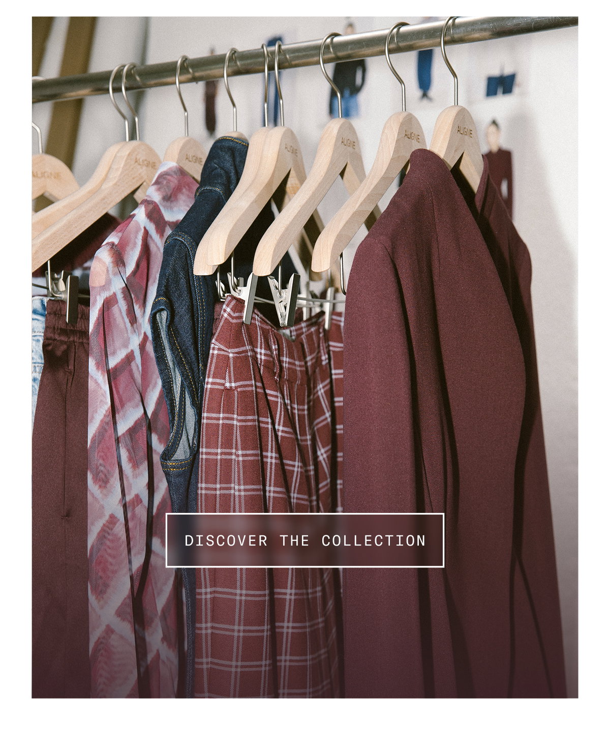 DISCOVER THE COLLECTION