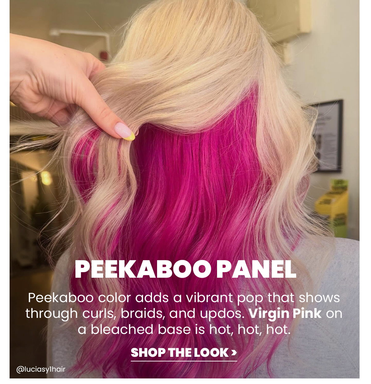 Peekaboo Panel