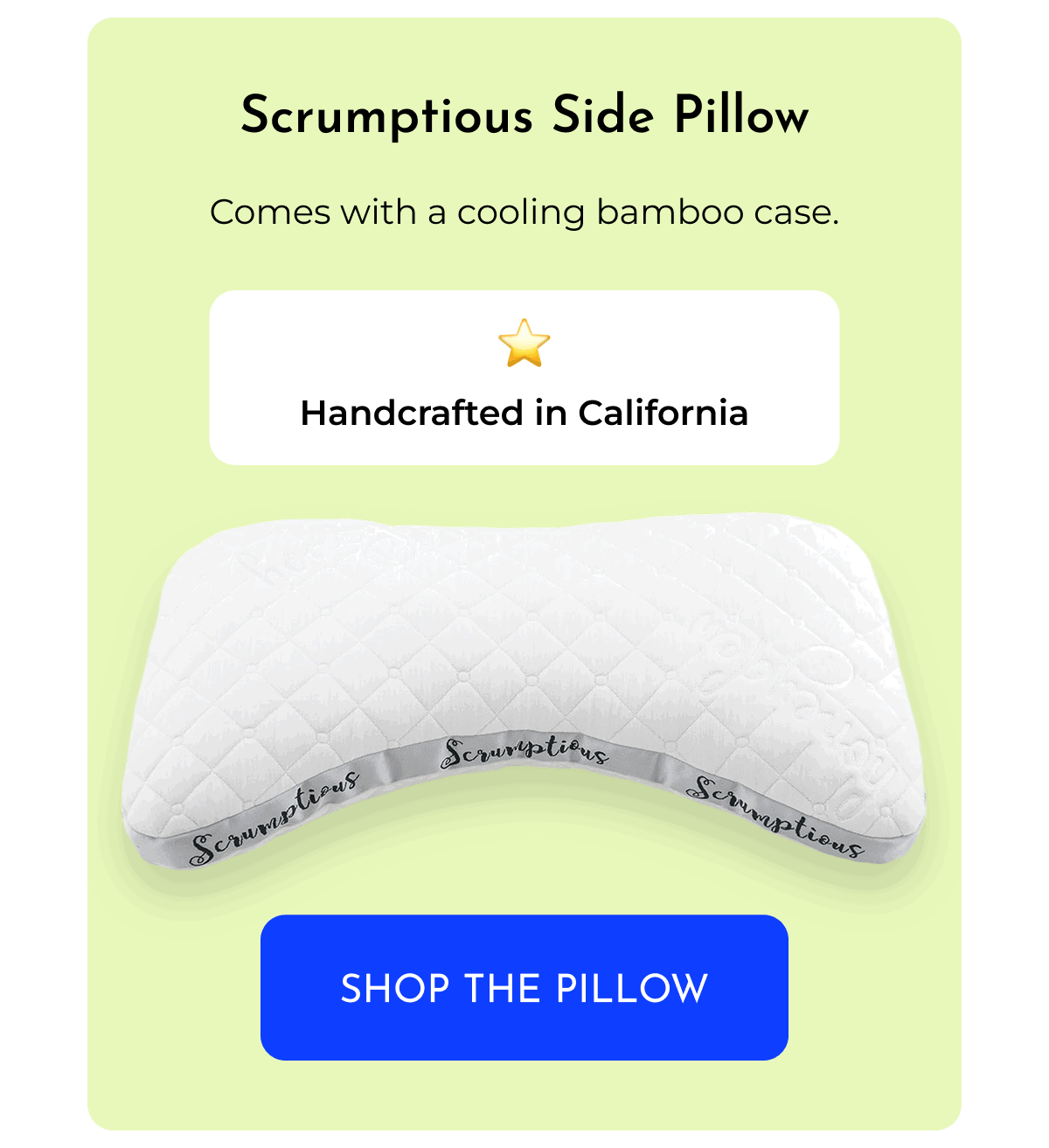 Scrumptious Side Pillow 