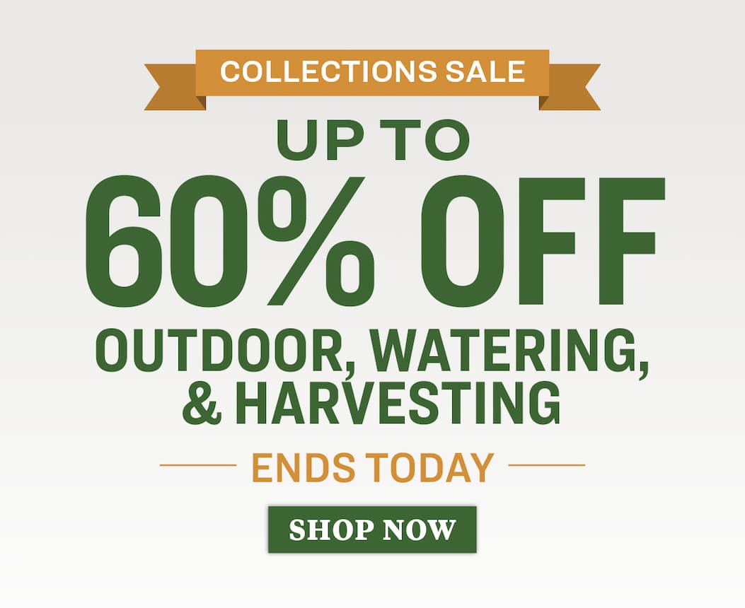 collections sale