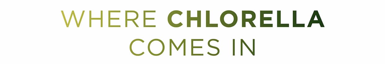 Where Chlorella Comes In