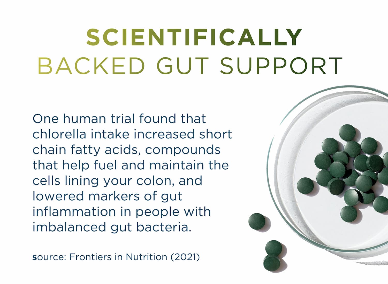 Scientifically Backed Gut Support