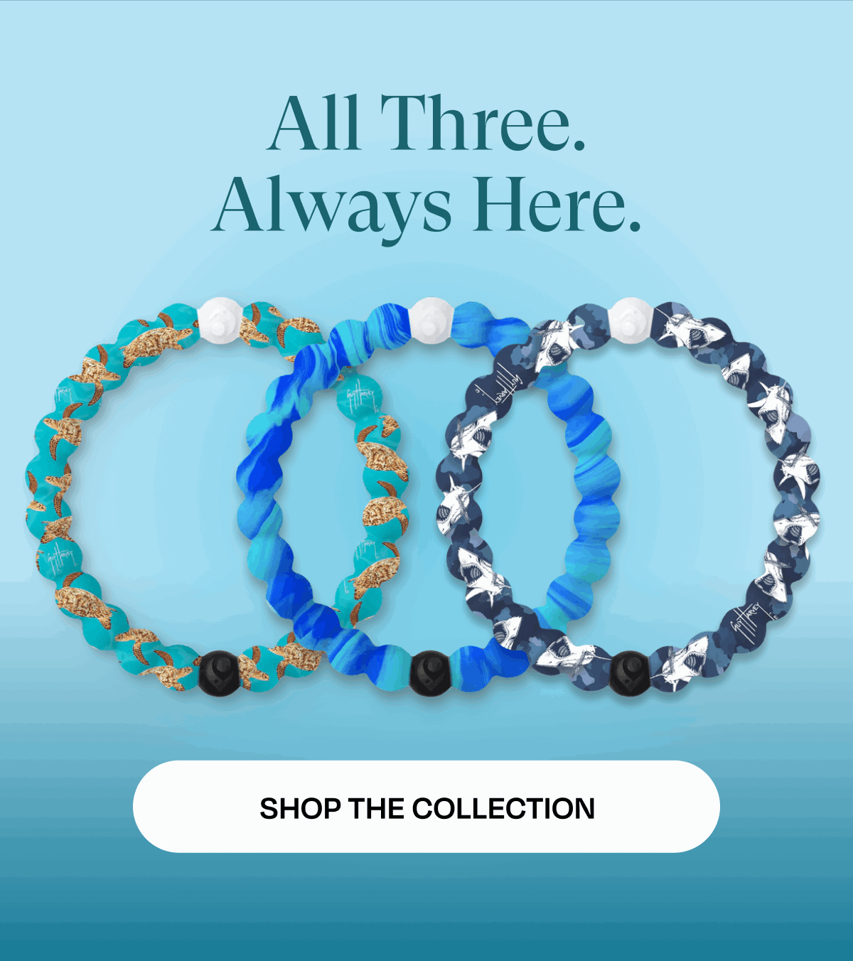 All Three. Always Here. | Shop The Collection