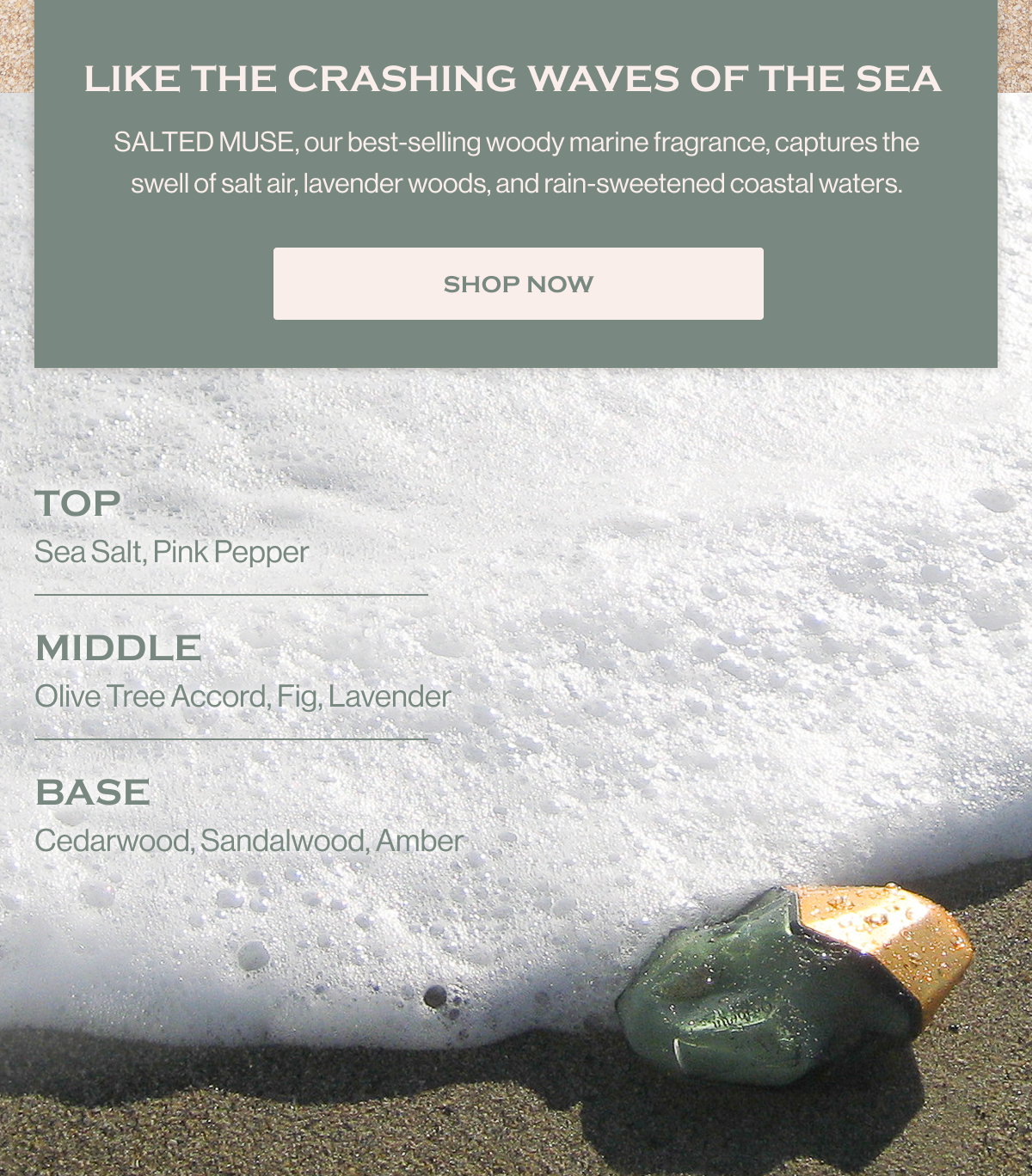 LIKE THE CRASHING WAVES OF THE SEA SALTED MUSE, our best-selling woody marine fragrance, captures the swell of salt air, lavender woods, and rain-sweetened coastal waters. SHOP NOW  TOP Sea Salt, Pink Pepper MIDDLE Olive Tree Accord, Fig, Lavender BASE Cedarwood, Sandalwood, Amber