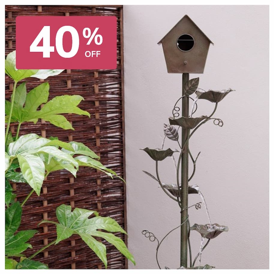 Enchanted Bird Box Water Feature