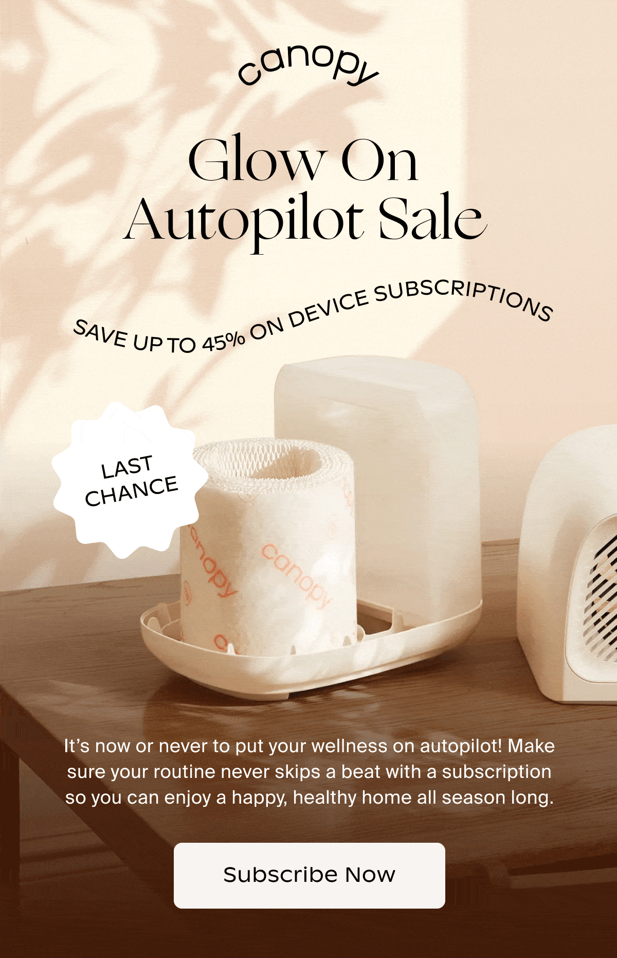 Canopy | Glow On Autopilot Sale | It’s now or never to put your wellness on autopilot! Make sure your routine never skips a beat with a subscription so you can enjoy a happy, healthy home all season long. | Subscribe Now
