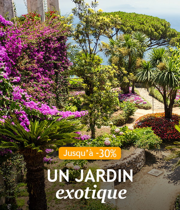 Jardin exotique