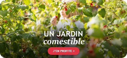 Un jardin comestible