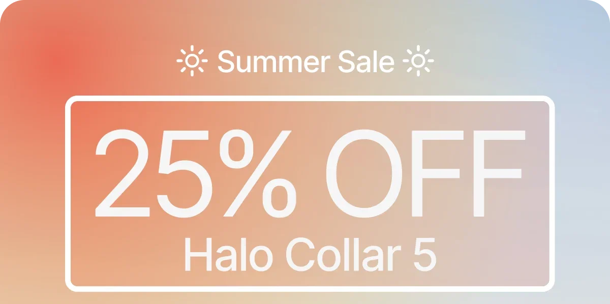 Halo Collar 5 is only $445 during our Summer Sale. Long days, warm nights, with Halo Collar your dog can be there for all of it. Shop now.