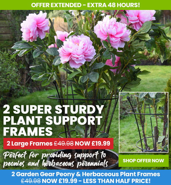 Peony & Herbaceous Plant Frame