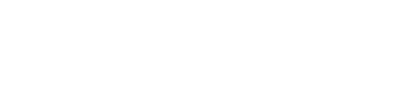 (+) points logo