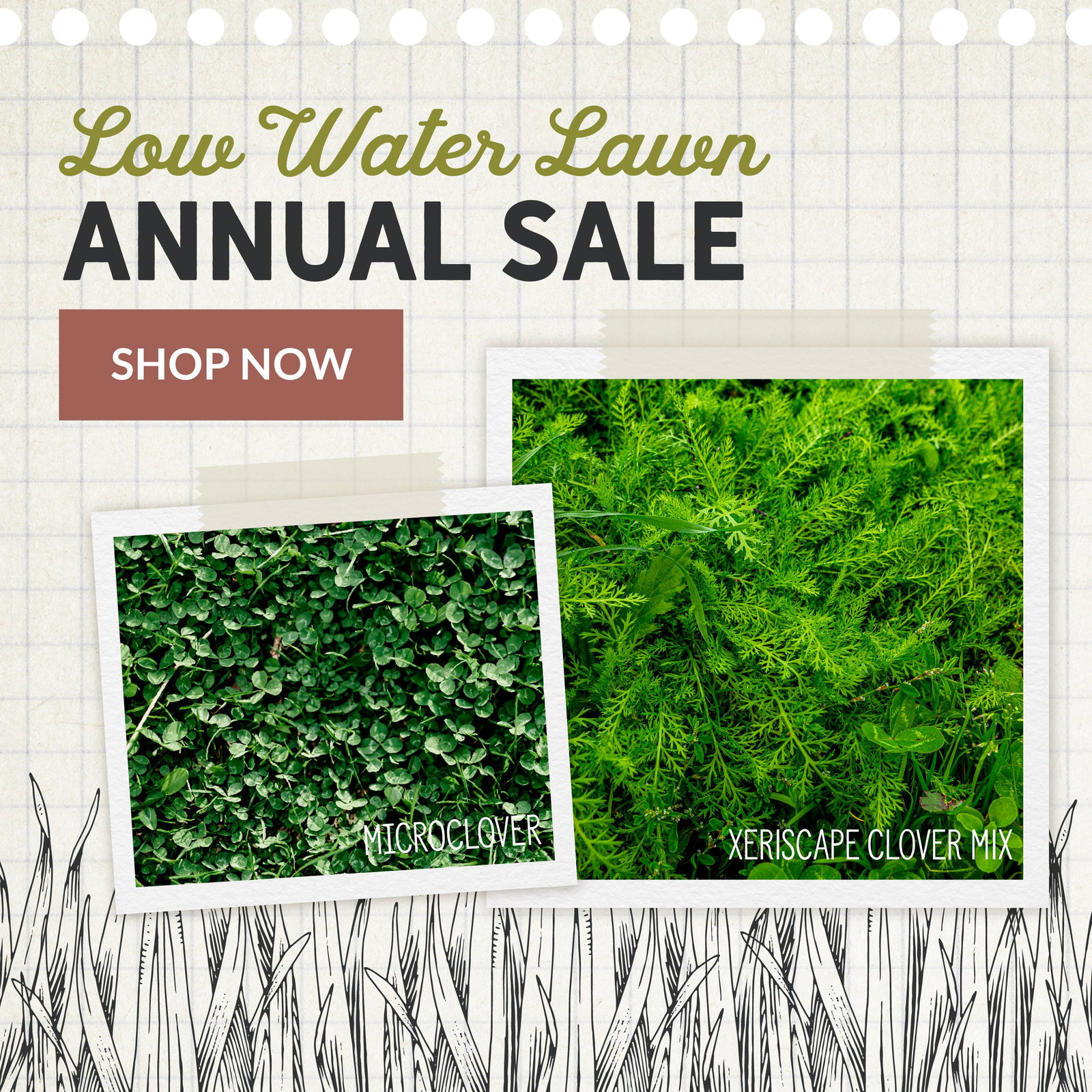 Annual Low-Water Lawn Sale