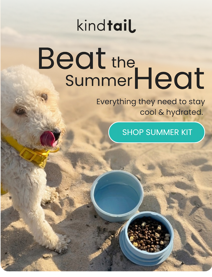Beat The Summer Heat  Everything they need to stay cool & hydrated. 