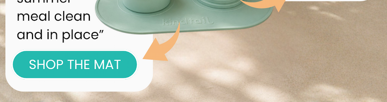 Kind Silicone Dog Food Mat
